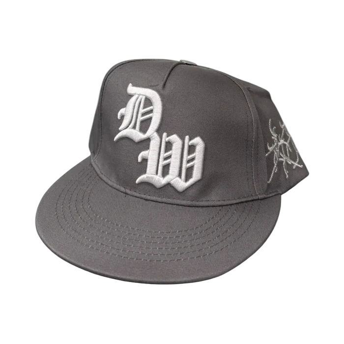 DW Snapback