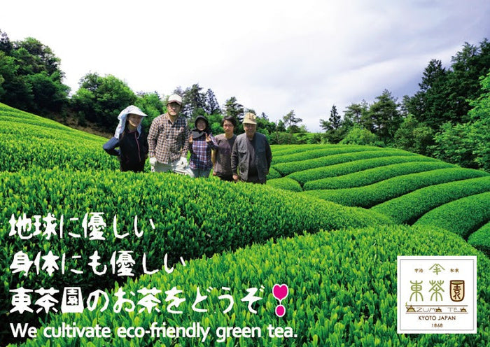 Azuma Tea Garden: Tencha Yabukita, Green Tea - 3