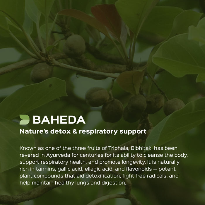 Baheda (Terminalia Belerica) Dry Extract - 40% Tannins by Titration