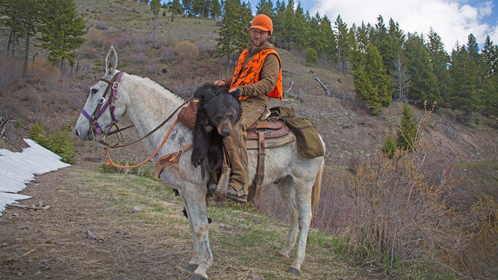 DVD Bear Hunting Magazine