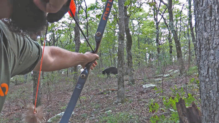 DVD Bear Hunting Magazine