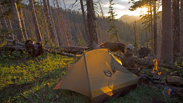 DVD Bear Hunting Magazine