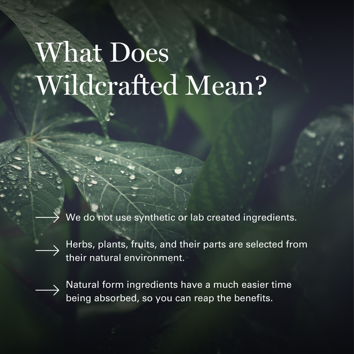 Dew-covered green leaves with text explaining wildcrafted ingredients are natural, unsynthesize, and easily absorbed.