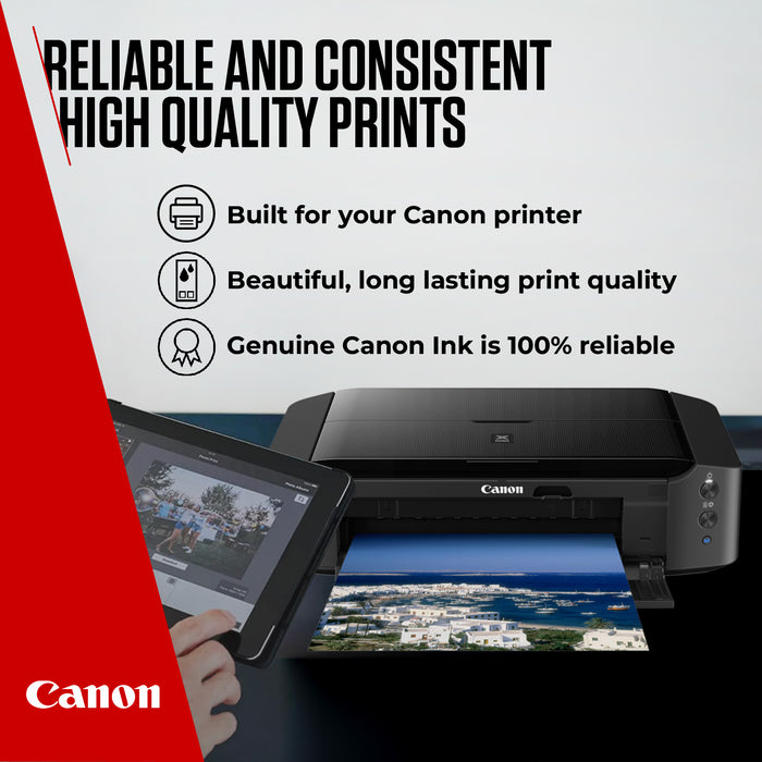 Canon PG-540L LARGE Black Printer Ink Cartridge - No external Packaging