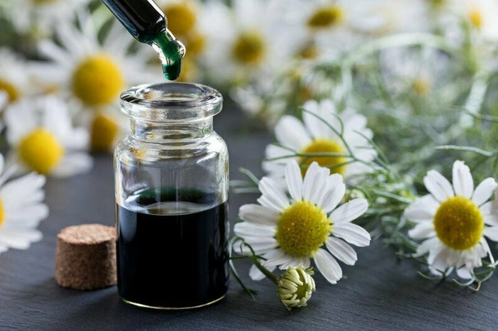 Chamomile German Blue Essential Oil (30 ml) - زيت البابونج الألماني الأزرق الاساسي