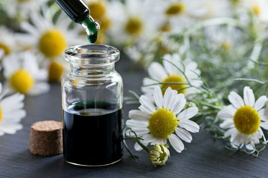 Chamomile German Blue Essential Oil (30 ml) - زيت البابونج الألماني الأزرق الاساسي
