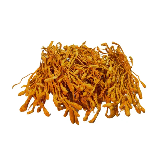 Cordyceps Mushroom (whole)