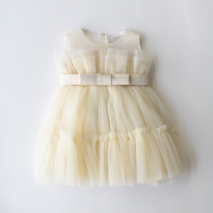 Delicate Daisy Baby Dress