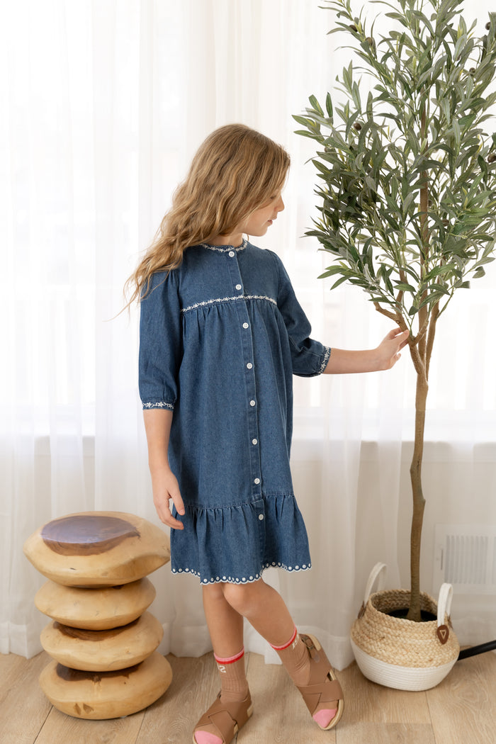 Denim Trimmed Dress