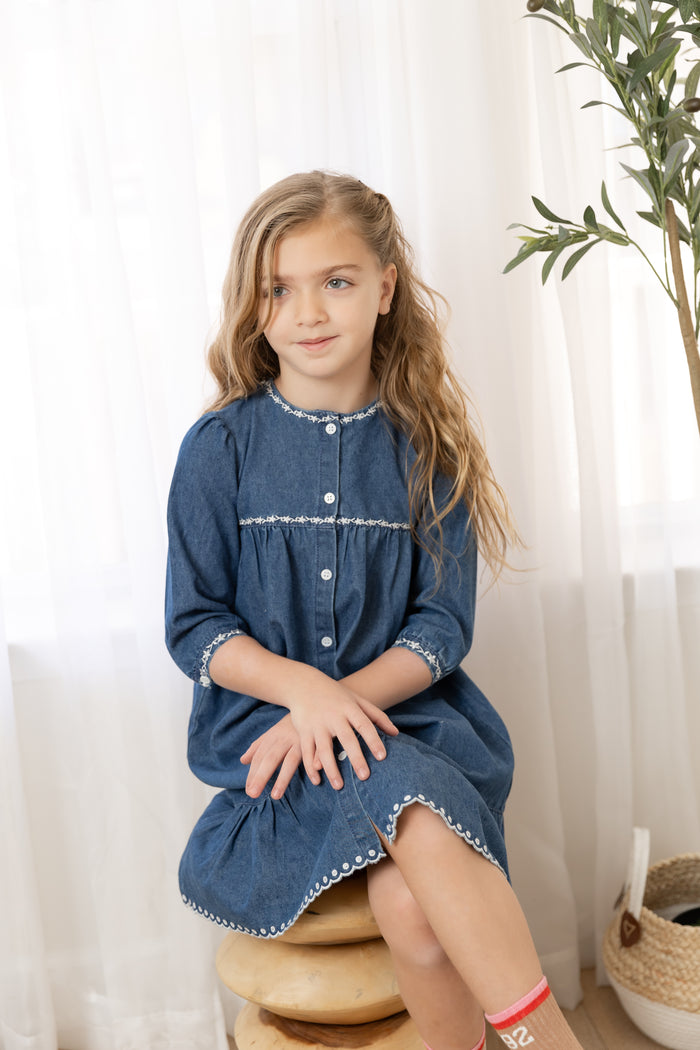 Denim Trimmed Dress