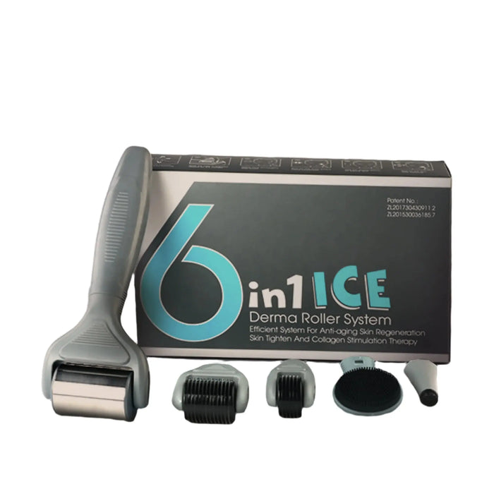 Derma Roller + Ice Roller 6 in 1 Kit 720 Microneedles Dr. Pen