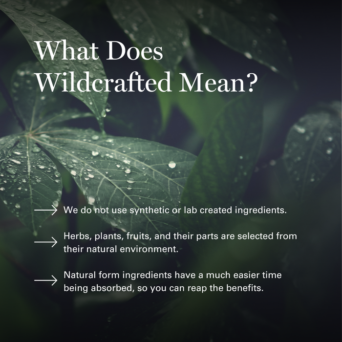 Wildcraft definition graphic with dew-covered green leaves explaining natural ingredient sourcing and absorption benefits.