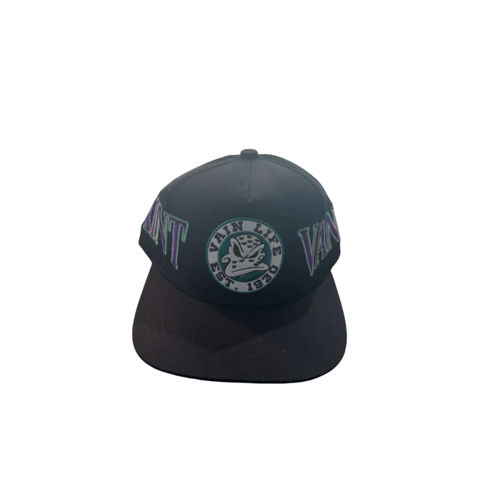 Ducks Snapback