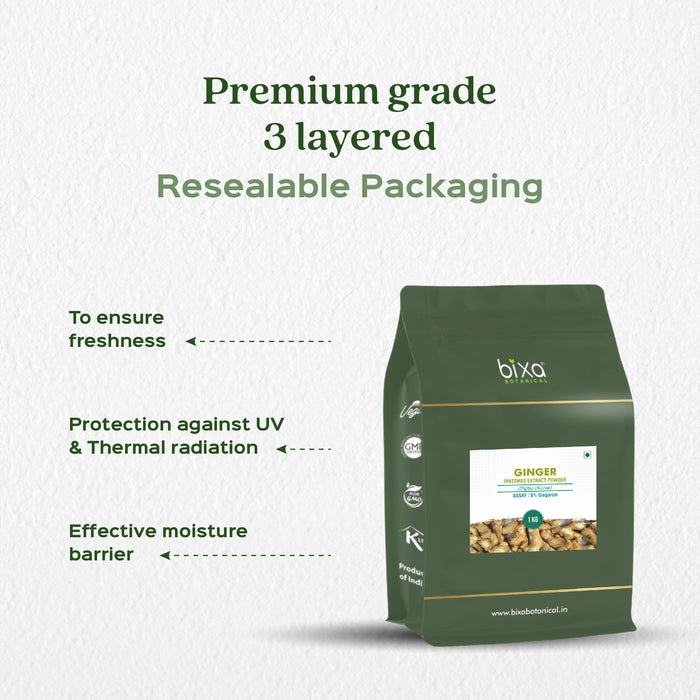 Ginger (Zingiber Officinale) Dry Extract - 5% Gingerols by UV