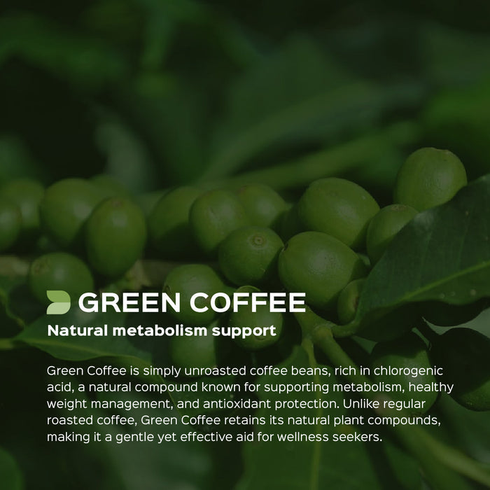 Green Coffee Beans Powder ( Coffea Robusta )