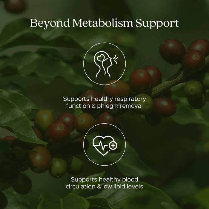 Green Coffee Beans Powder ( Coffea Robusta )