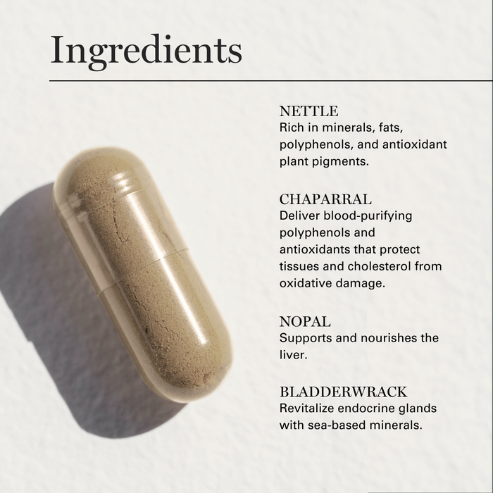 Dr. Sebi herbal supplement capsule with ingredients list: Nettle, Chaparral, Nopal, and Bladderwrack.