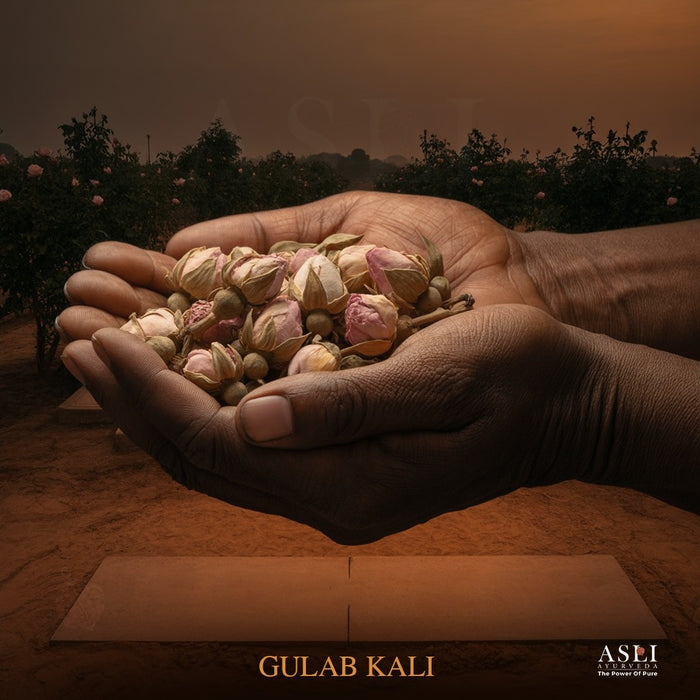 GULAB KALI