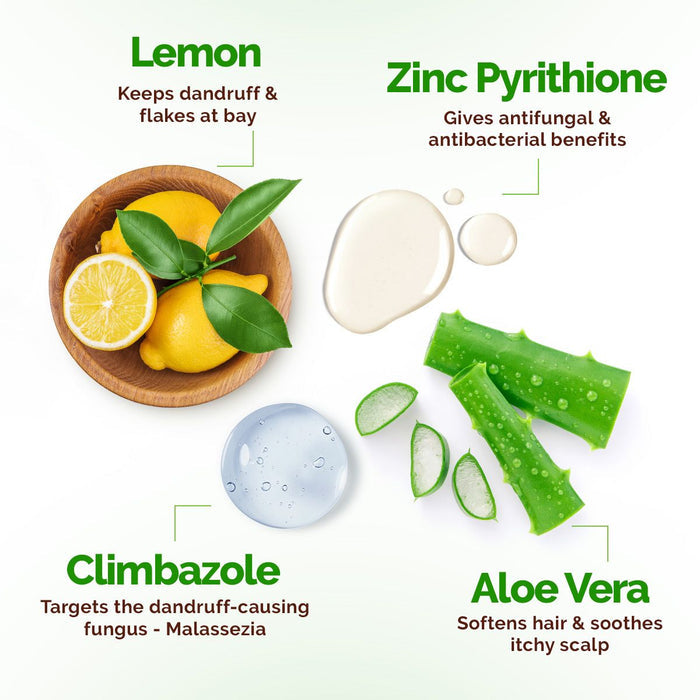Mamaearth lemon shampoo ingredients with zinc pyrithione, aloe vera and climbazole