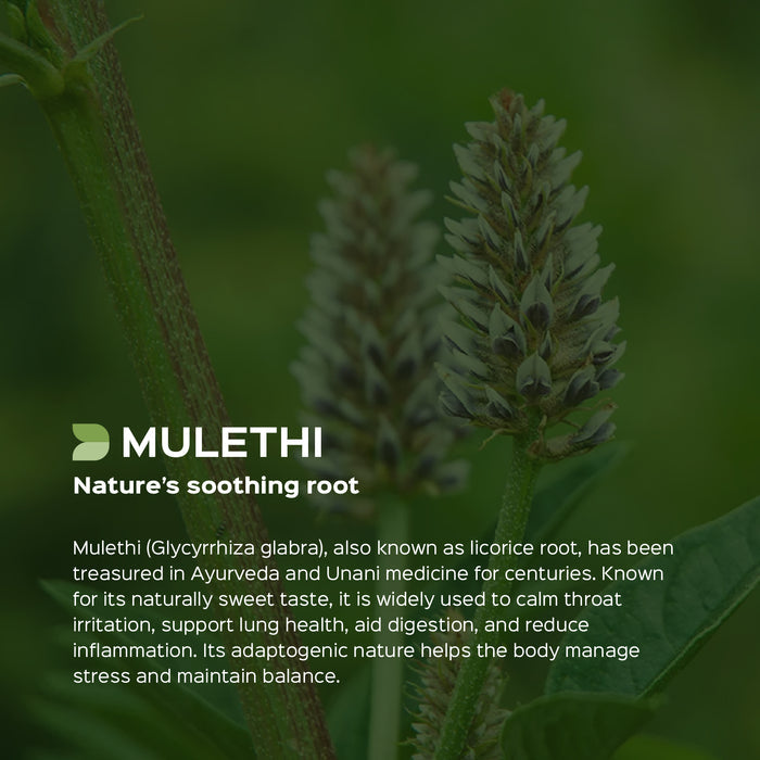 Licorice/ Mulethi (Glycyrrhiza Glabra) dry Extract - 20% Glycyrrhizin by Gravimetry