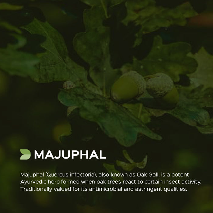 Majuphal Galls Powder ( Quercus infectoria )