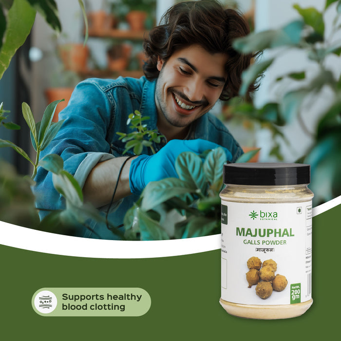Majuphal Galls Powder ( Quercus infectoria )