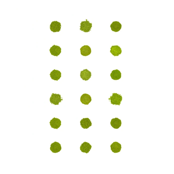 Matcha Sampler 18-Pack