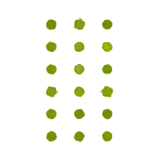 Matcha Sampler 18-Pack