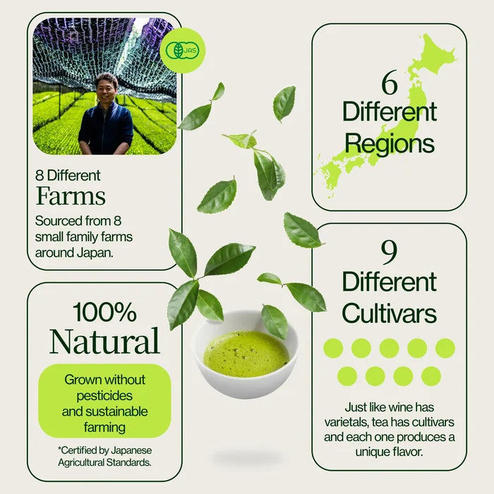 Matcha Sampler 18-Pack