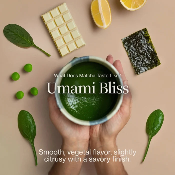 Matcha Sampler 18-Pack
