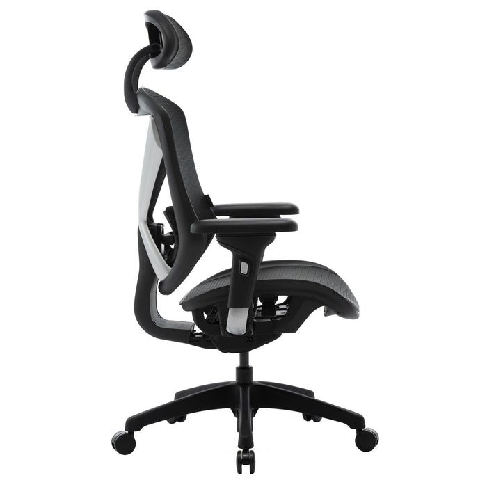 MUNCHE - Executive Mesh Chair - Image 5 - Office R Us