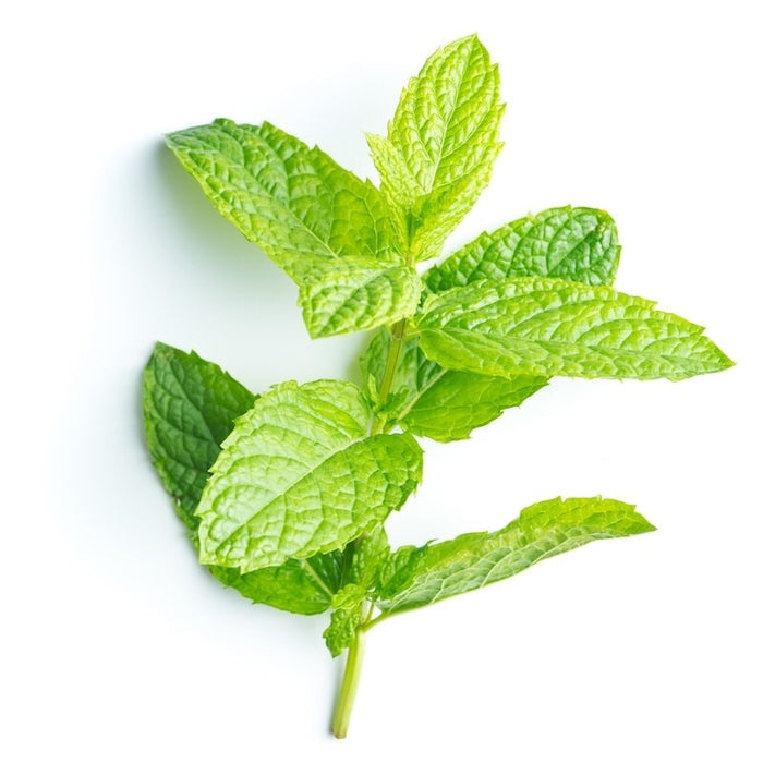 Peppermint essential oil - زيت النعناع الاساسي