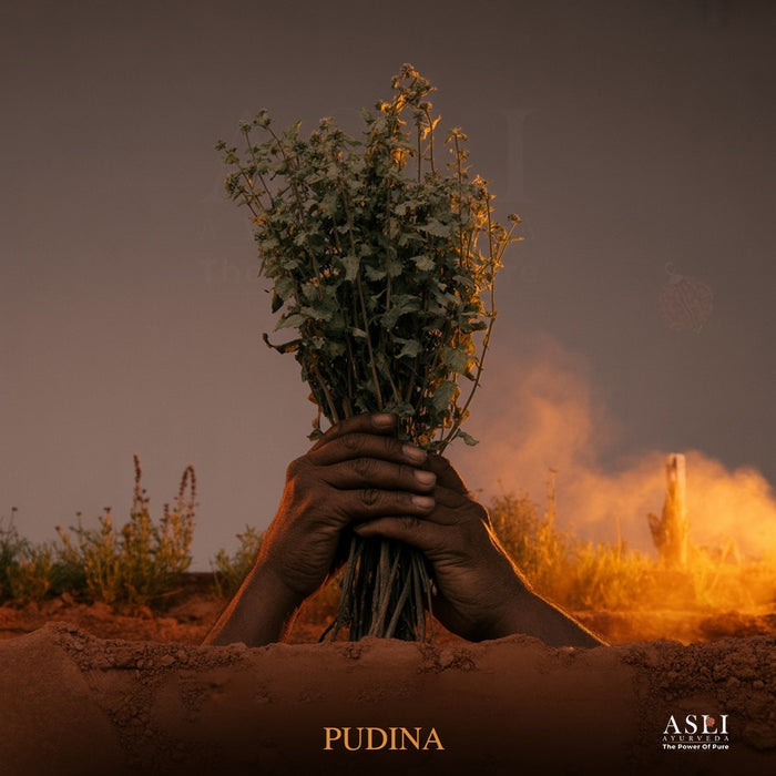 PUDINA