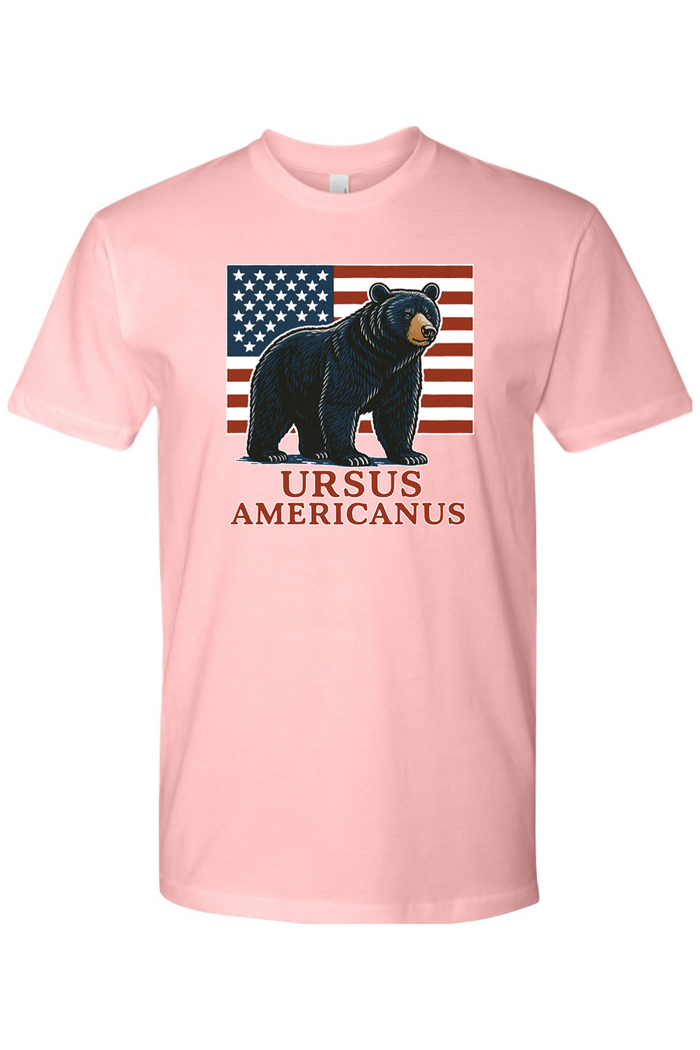 Red, White, & Bruin Short Sleeve Crew