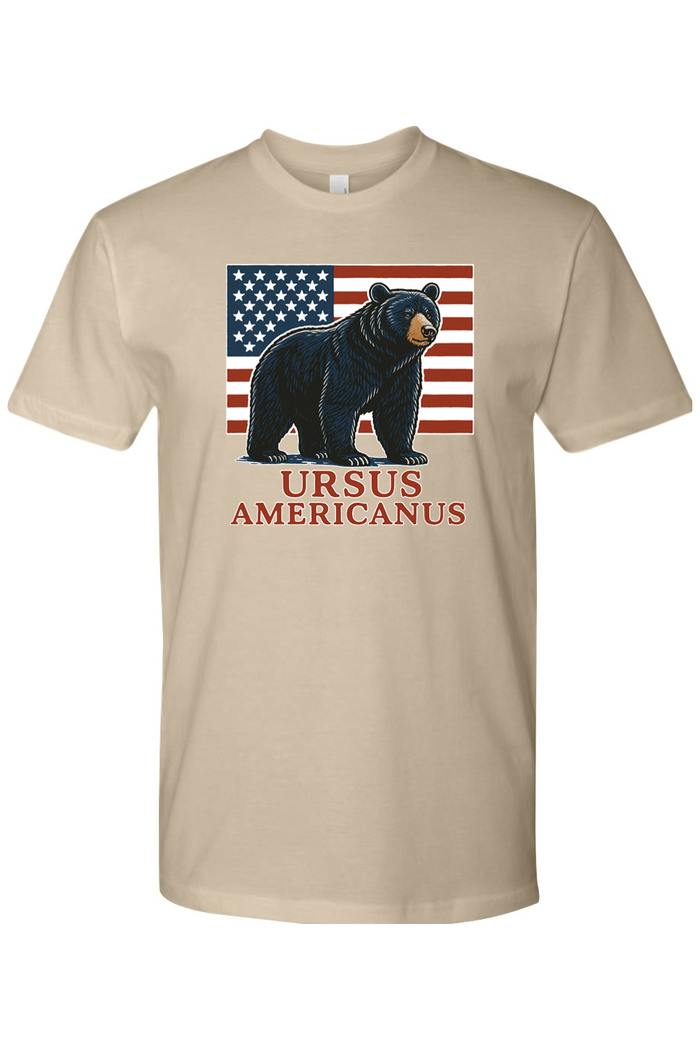 Red, White, & Bruin Short Sleeve Crew