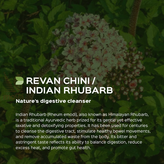 Revan Chini Powder ( Rheum Emodi )