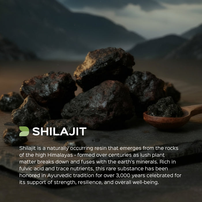 Shilajit (Asphaltum) Dry Extract - 40% Fulvic acid by Gravimetry