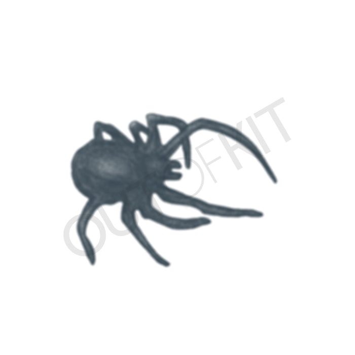 Spider 1