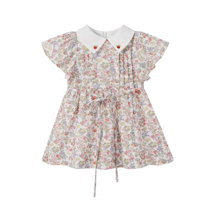Strawberry Embroidered Dress