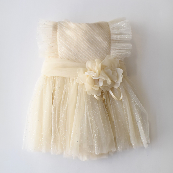 Sweet Sophia Baby Dress