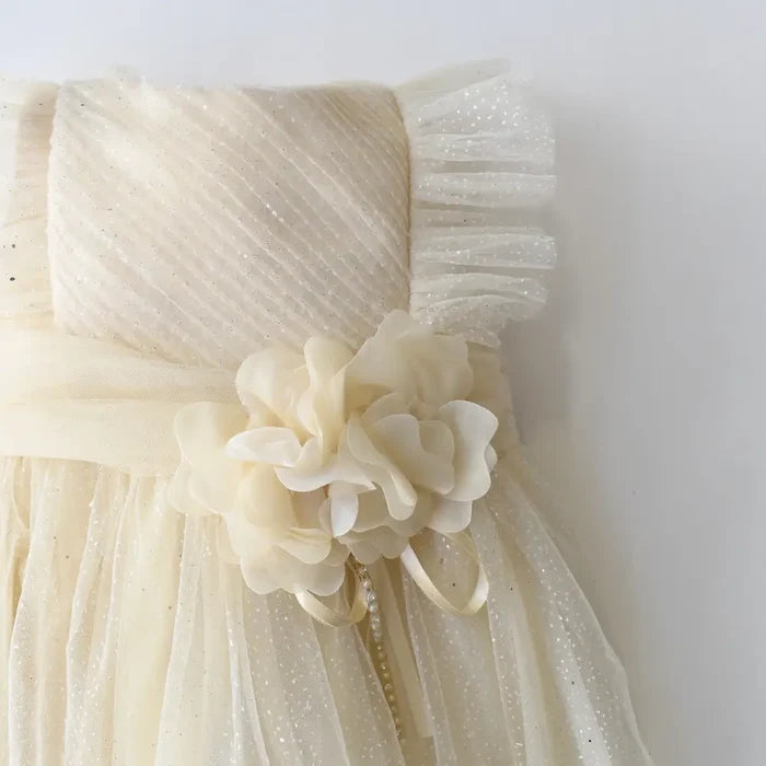 Sweet Sophia Baby Dress