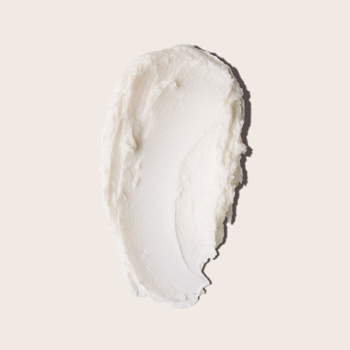 Everist-The Fragrance-Free Shampoo Concentrate-Hair-EVR_002_01202025_Everist_PDP_Images_FFShampoo_Tin_2-The Detox Market |