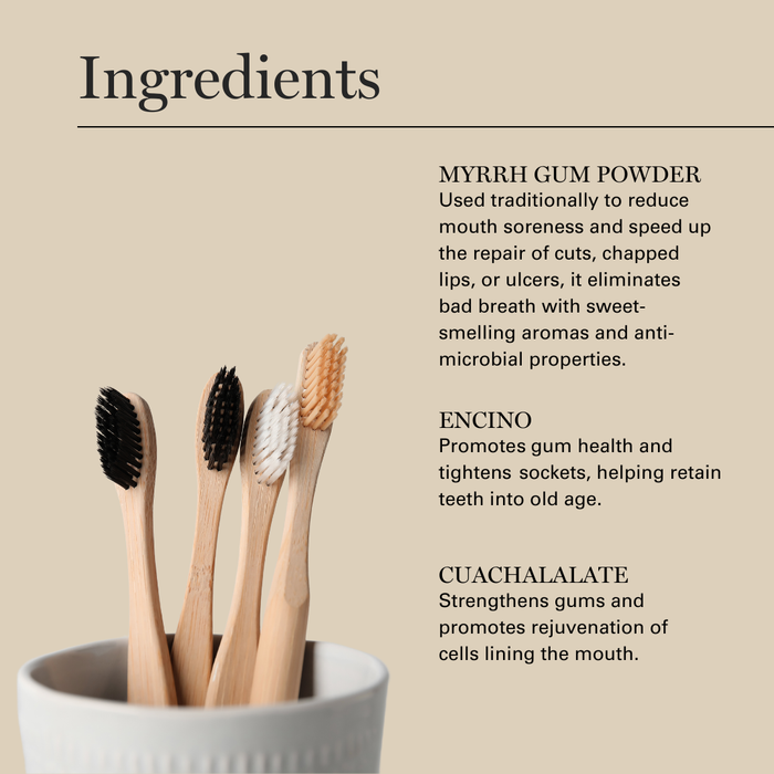 Wooden toothbrushes in a ceramic holder with ingredient descriptions for myrrh gum powder, encino, and cuachalalate.