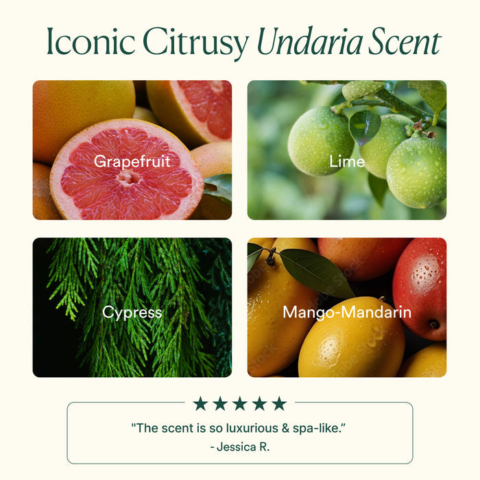 OSEA-Undaria Algae Body Butter-Body-675468101455_06-The Detox Market |