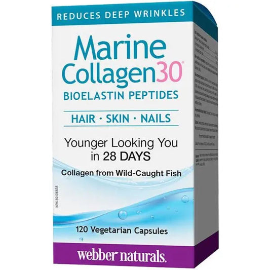 Webber Natural Collagen30 Marine Caps 120S Webber Natural