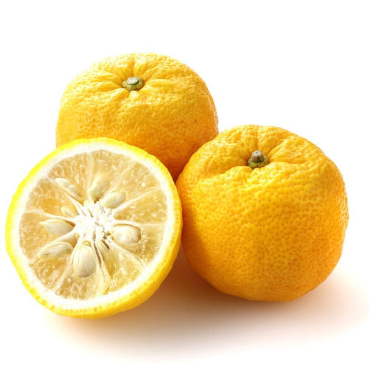 Yuzu Essential Oil - زيت يوزو الاساسي